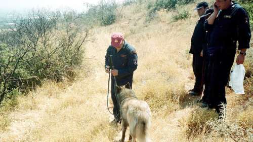 Εξαφανίστηκε 12χρονος στα Καλάβρυτα - Μάζευε μανιτάρια με τον μπαμπά του