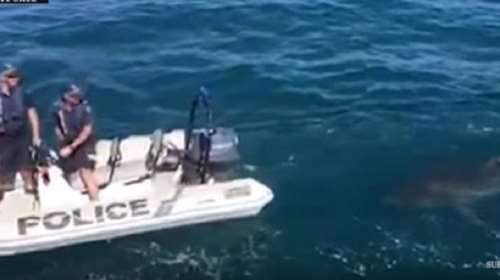 Ο ...Νώε δεν επέτρεψε να γίνει αλκοτέστ σε σκάφος! (βίντεο)