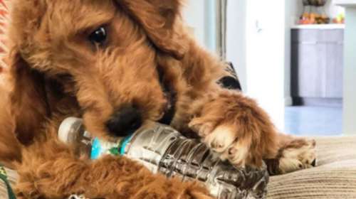 Γιάννης Αντεντονκούμπο: Μίλα μου, Μίλα μου...(Video)