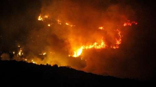 Μάχη με τις φλόγες σε δάσος στα Κρέστενα Ηλείας (φωτό)