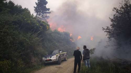 Εξακολουθούν να επιχειρούν ισχυρές δυνάμεις πυροσβεστικής στην Ηλεία