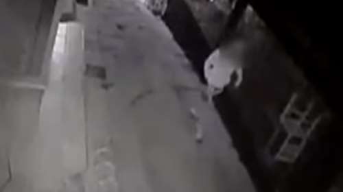 Στα πράσα διαρρήκτες ψαροταβέρνας: Καρέ καρέ η δράση τους Βίντεο