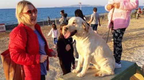 Εγκαινιάστηκε το πρώτο πάρκο σκύλων στον δήμο Ηρακλείου