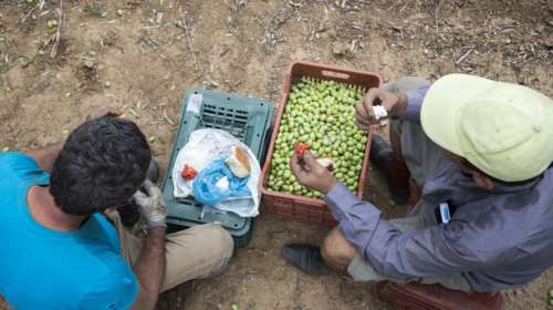 Διαγραφή χρεών έως 60% για χιλιάδες δανειολήπτες αγρότες
