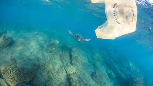 Βρέθηκε πλαστική σακούλα στον Ειρηνικό σε βάθος 10.989 μέτρων!