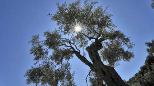 Αίθριος καιρός με τοπικές νεφώσεις, ως 31°C η θερμοκρασία