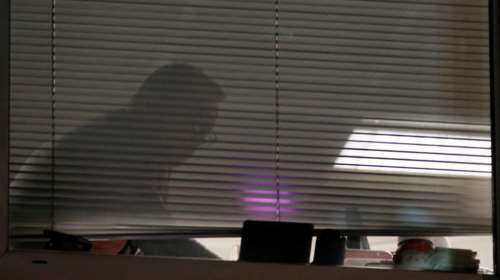 Ερευνα και του FBI για το σκάνδαλo της Cambridge Analytica