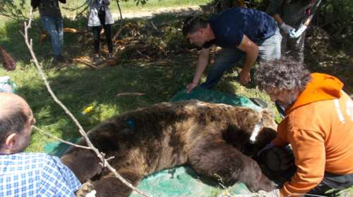 Υπό παρακολούθηση  ο &quot;Λιάκος&quot;, ο &quot;Μουσάτος&quot;, ο &quot;Μάρκος&quot; και ο &quot;Ίβο&quot;