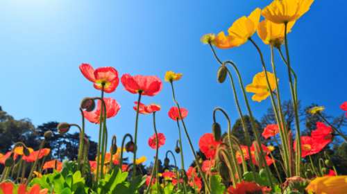 Αίθριος καιρός την Κυριακή με λίγες τοπικές νεφώσεις και βροχές