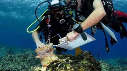 Οι αρχαιότητες που αποκάλυψε η υποβρύχια έρευνα στη Νάξο. Υπέροχες φωτό