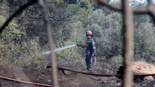 Μεγάλη φωτιά στο Άλσος Συγγρού - Στο σημείο ισχυρές πυροσβεστικές δυνάμεις