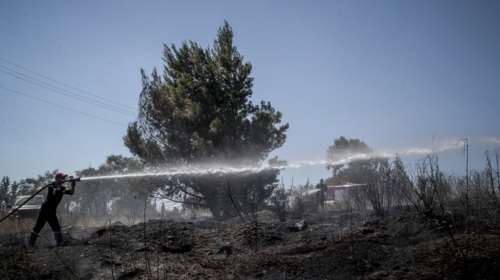 Σε εξέλιξη φωτιά στο άλσος Συγγρού: Τραυματίστηκε εθελοντής πυροσβέστης