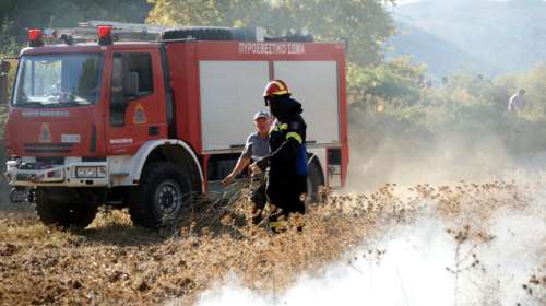Φωτιά σε αγροτοδασική έκταση στην Εύβοια