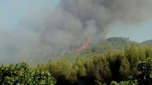 Yπό μερικό έλεγχο η πυρκαγιά στα Πολιτικά Εύβοιας