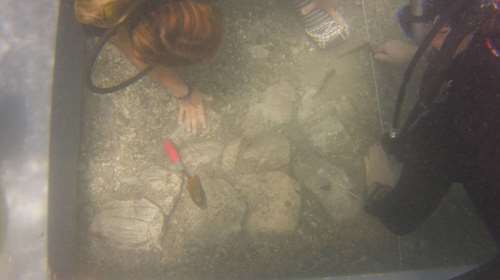 Αρχαιολόγοι ανακάλυψαν πρώτη φορά ιππήλατα άρματα ηλικίας 4.000 χρόνων