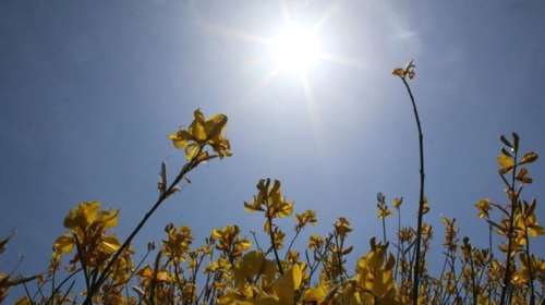Υψηλές θερμοκρασίες και μεταφορά σκόνης για σήμερα