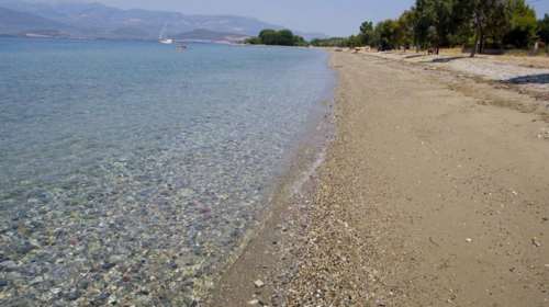 Χαλκίδα: Στη ΜΕΘ νοσηλεύεται 57χρονος - Κινδύνευσε να πνιγεί