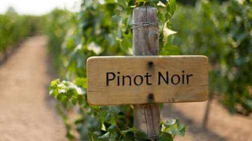 Ιστορική δημοπρασία για τα τελευταία κρασιά του «βασιλιά της Βουργουνδίας»