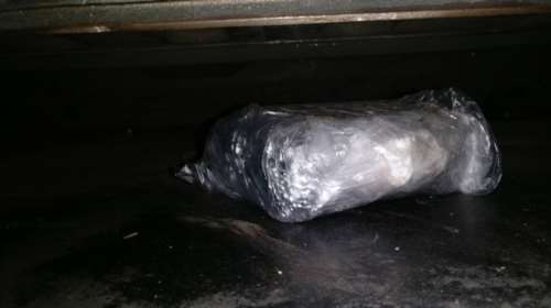 Σκύλος οδήγησε στα ναρκωτικά και στα ηγετικά στελέχη του κυκλώματος