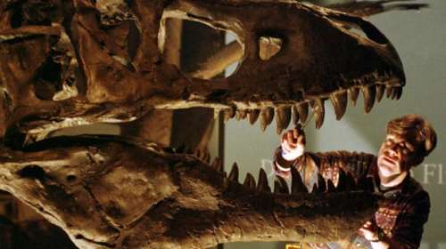 Γιατί ο τυραννόσαυρος δεν μπορούσε να βγάλει ...γλώσσα;