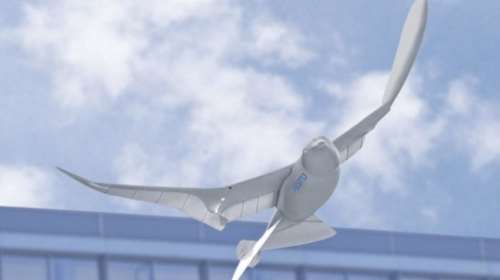 Περιστέρια-drones παρακολουθούν πολίτες στην Κίνα