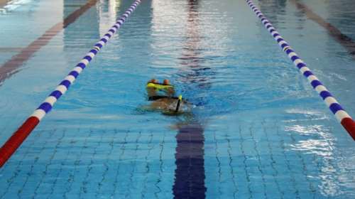 Νεκρός 18χρονος αθλητής - Κατέρρευσε μόλις βγήκε από πισίνα ξενοδοχείου