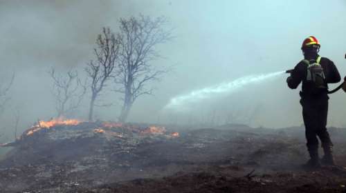 Σητεία: Σε ύφεση, αλλά με συνεχείς αναζωπυρώσεις, η φωτιά