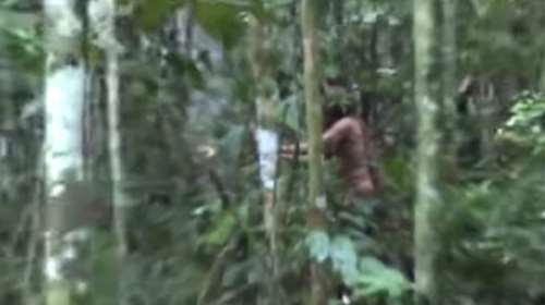 Μόνος επιζών! Για πρώτη φορά στον φακό ο "ιθαγενής στην τρύπα" (βίντεο)