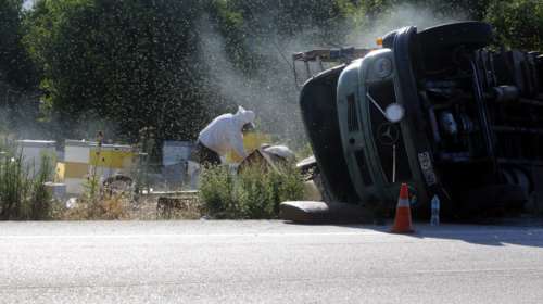 Ψαράς πέθανε στην Εύβοια από τσιμπήματα μελισσών - Έφυγαν λόγω τροχαίου