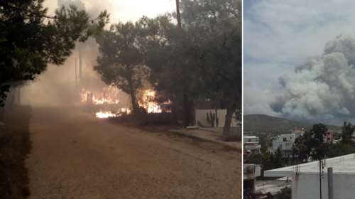 Μεγάλη φωτιά στην Κινέτα: Τέσσερα μέτωπα σε μήκος 6 χλμ