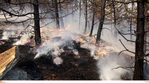 Αλεξανδρούπολη: Σε εξέλιξη η φωτιά και στο Σουφλί
