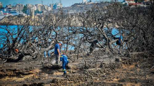 Ολοκληρώθηκαν οι νεκροψίες - 87 οι νεκροί από τις πυρκαγιές