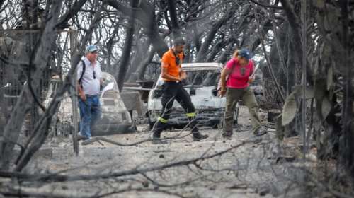 Στην ιστοσελίδα της κυβέρνησης τα δικαιολογητικά για τους πυρόπληκτους