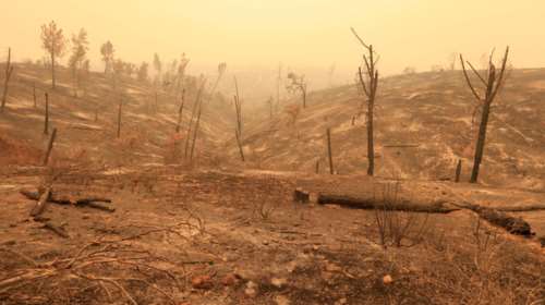 Μεγάλες φωτιές στην Καλιφόρνια: Πέντε νεκροί και 17 αγνοούμενοι