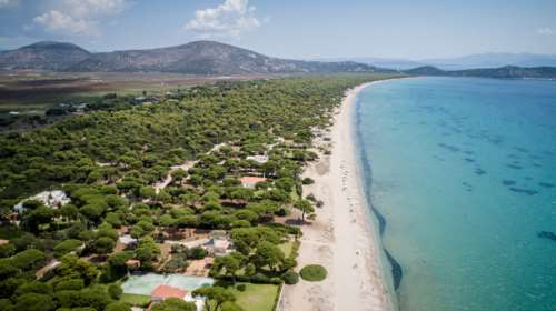 Παράταση στην ανάρτηση των δασικών χαρτών