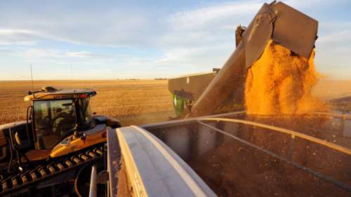 Ο πιο ζεστός Ιούλιος στον Καναδά εδώ και έναν αιώνα