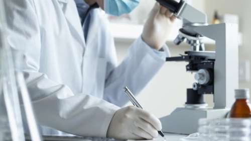 Δημιούργησαν εργαστηριακό πνεύμονα &amp; τον μεταμόσχευσαν σε πειραματόζωα