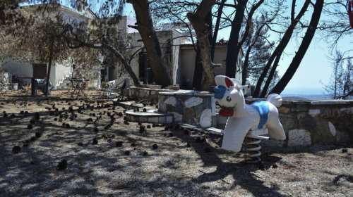 Επικοινωνία «μηδέν» ανάμεσα σε Πυροσβεστική και ΕΛΑΣ στο Μάτι