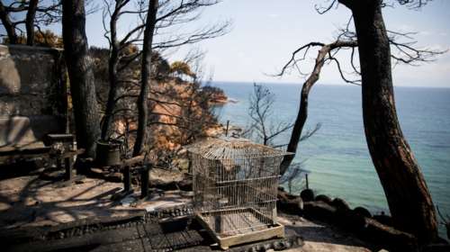 Ξεκίνησαν οι κατεδαφίσεις «κόκκινων» σπιτιών στο Μάτι