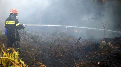 Υπό μερικό έλεγχο η φωτιά στην Καβησό Αλεξανδρούπολης