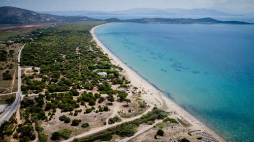 Εκτός χρόνου 39 δήμοι για τους δασικούς χάρτες