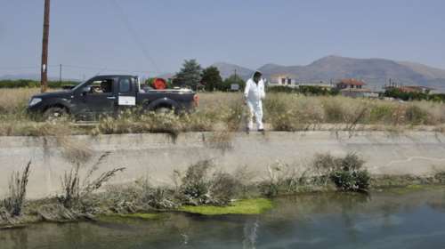 Στους 11 οι νεκροί από τον ιό του Δυτικού Νείλου