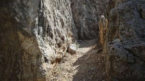 Προφυλακιστέοι οι τρεις δράστες για το έγκλημα στου Φιλοπάππου