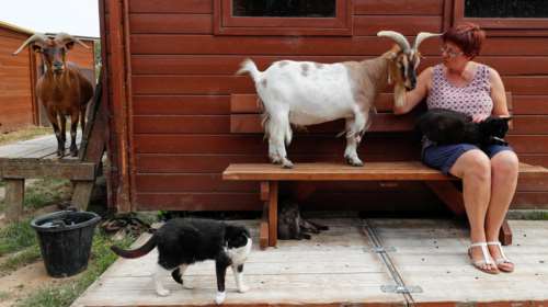 Οι κατσίκες προτιμούν τους χαρούμενους ανθρώπους