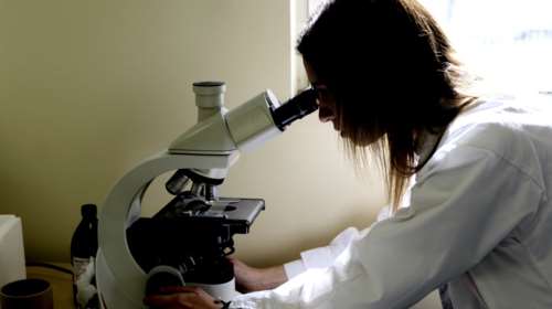 Θεσσαλονίκη: Έξι νεκροί από τον ιό του Δυτικού Νείλου-60 κρούσματα