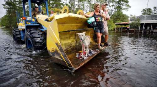 Στους 31 οι νεκροί από τον κυκλώνα Φλόρενς στις ΗΠΑ (φωτό)