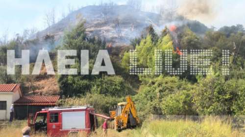 Υπό έλεγχο οι πυρκαγιές στην Ηλεία