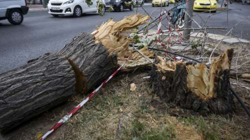 Κλειστά τα σχολεία την Παρασκευή στα νότια προάστια
