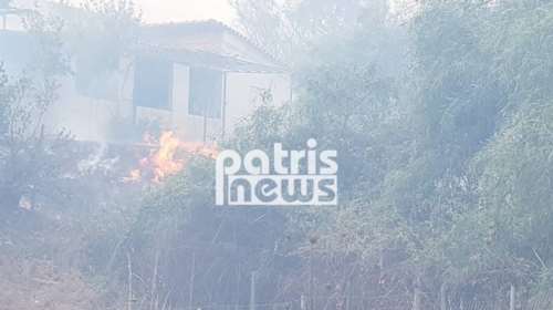 Ηλεία: Οριοθετήθηκε η πυρκαγιά - Μικρές ζημιές