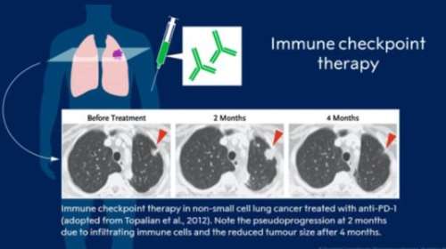 Σε Αμερικανό και Ιάπωνα το Νόμπελ Ιατρικής